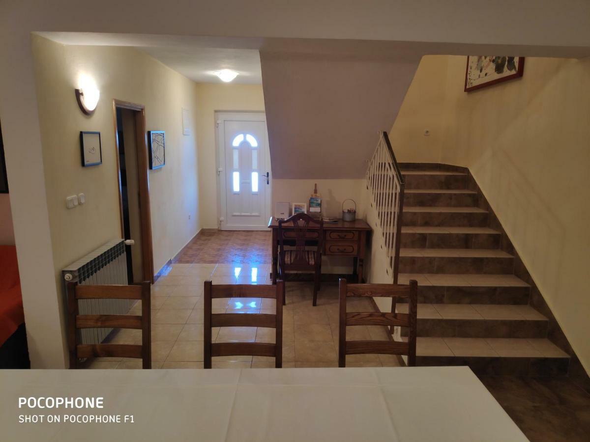 Villa Lisinski Zadar Eksteriør bilde